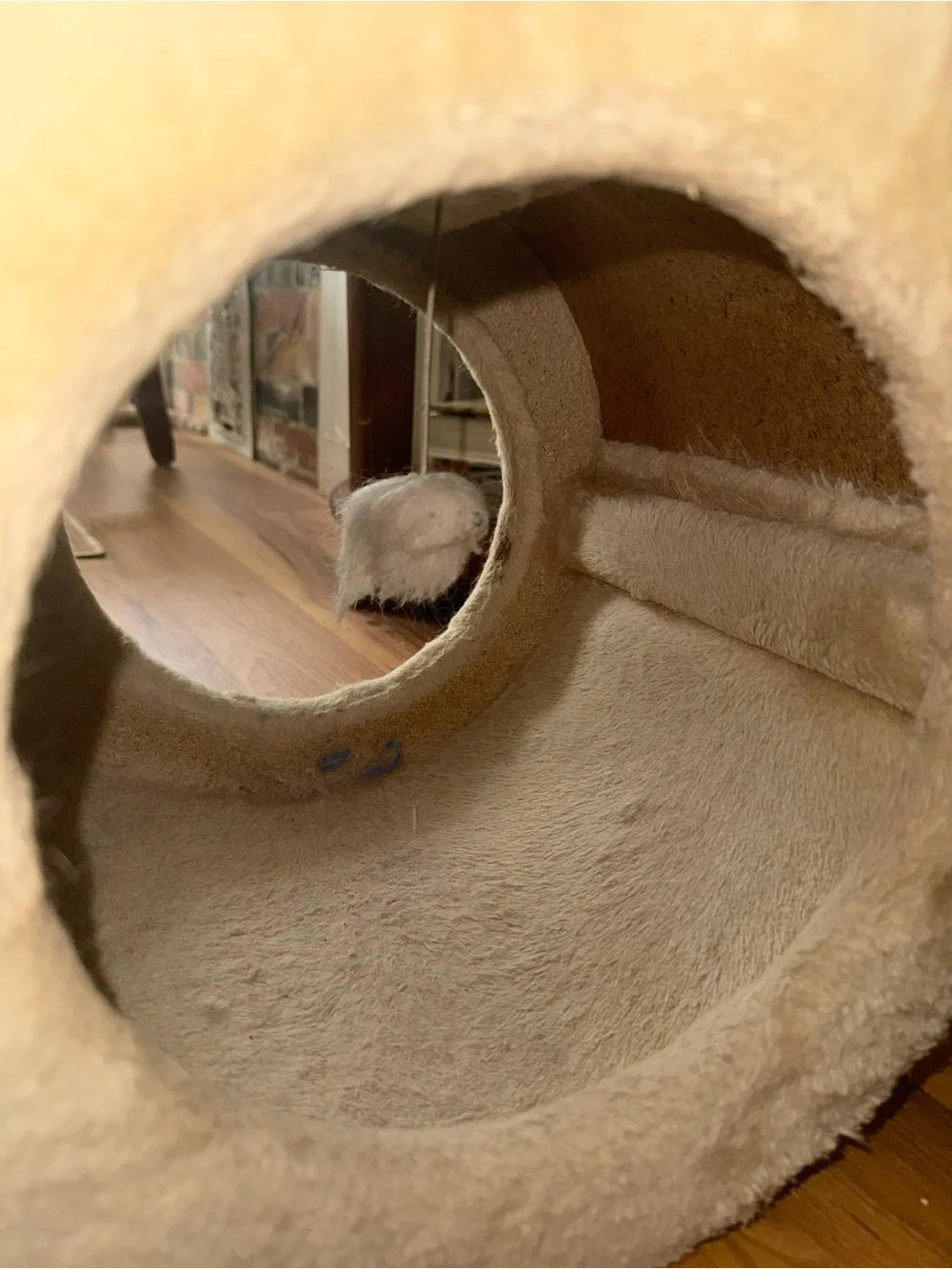 Cream fish shaped Cat Scratcher Lounge
